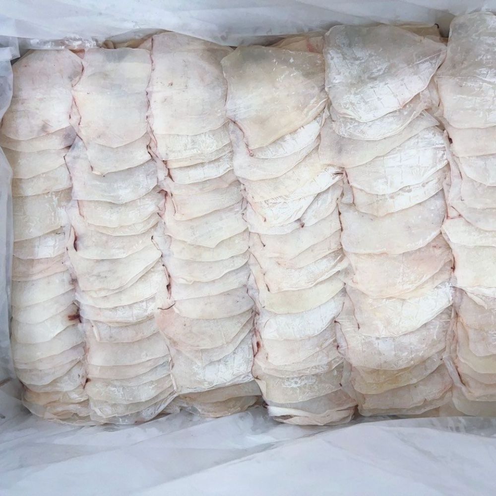 Hot Selling Dried Cuttlefish Fresh Squid From Vietnam Delicious Snacks: Certified Quality Wholesale Purchase Ready To Ship 2024