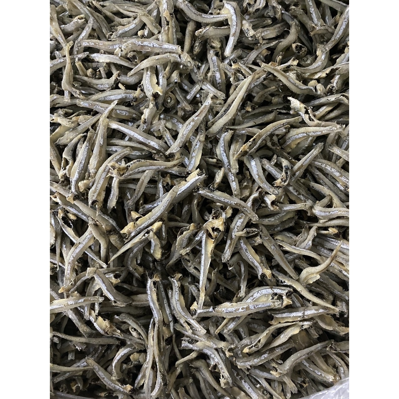 100% dry in the sun Hot Selling Dried Anchovy Commerson Anchovy 13kgs New Top Fish Bulk Dried Small Fish From Wholesale Market