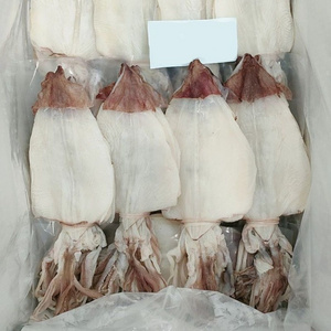 Hot Selling Dried Cuttlefish Fresh Squid From Vietnam Delicious Snacks: Certified Quality Wholesale Purchase Ready To Ship 2024