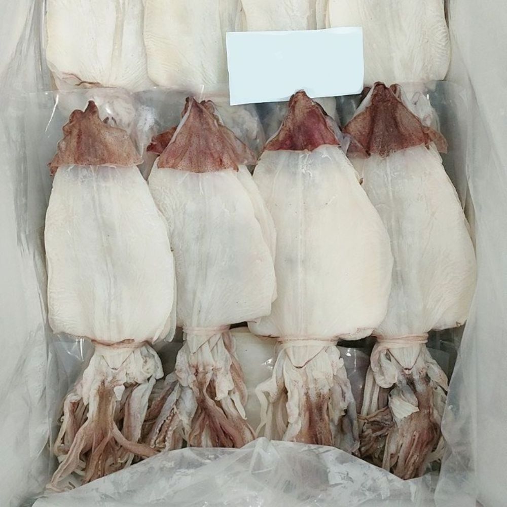 Dried Cuttlefish Frozen Dry Squid From Vietnam Ready To Ship From Wholesale Seafood Supplier Fresh Dried Cuttlefish In Bulk