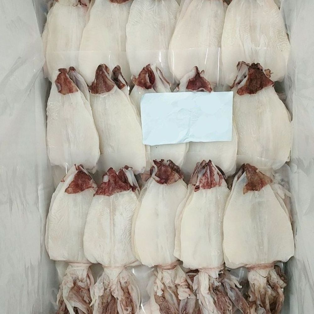 Hot Selling Dried Cuttlefish Fresh Squid From Vietnam Delicious Snacks: Certified Quality Wholesale Purchase Ready To Ship 2024