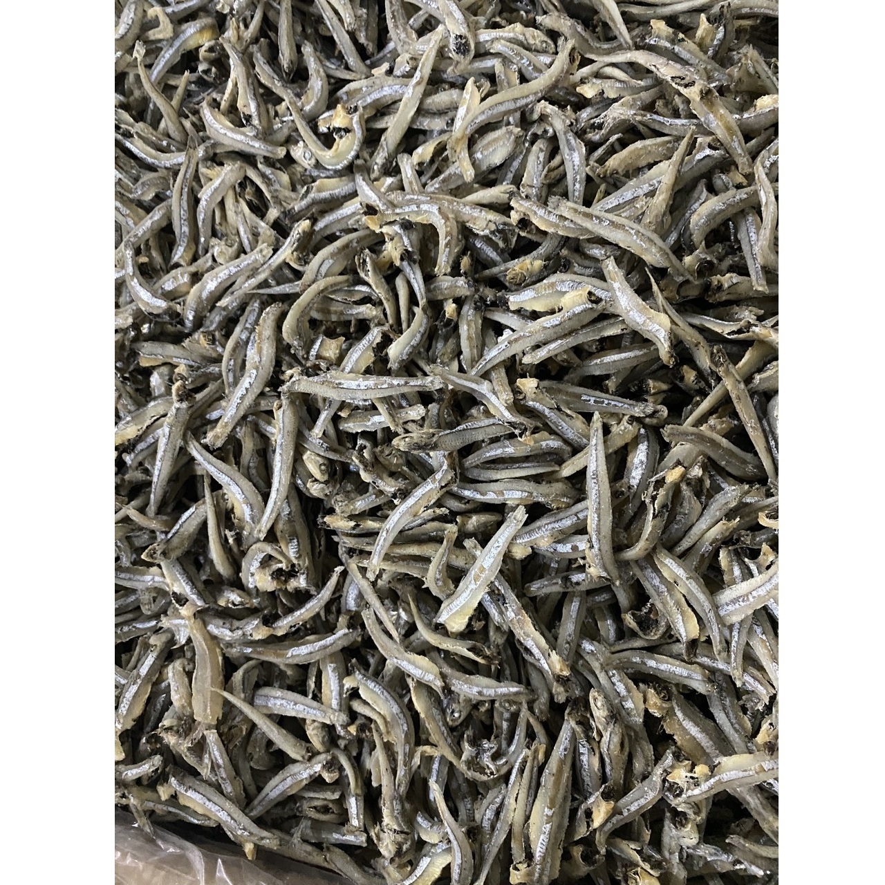 100% dry in the sun Hot Selling Dried Anchovy Commerson Anchovy 13kgs New Top Fish Bulk Dried Small Fish From Wholesale Market