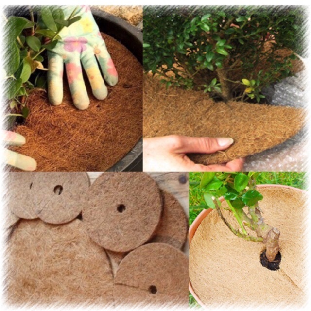 Eco Friendly Natural Coconut Coir Mulch Mat / Round Coco Coir Disc For Home Gardening Farming From VietNam