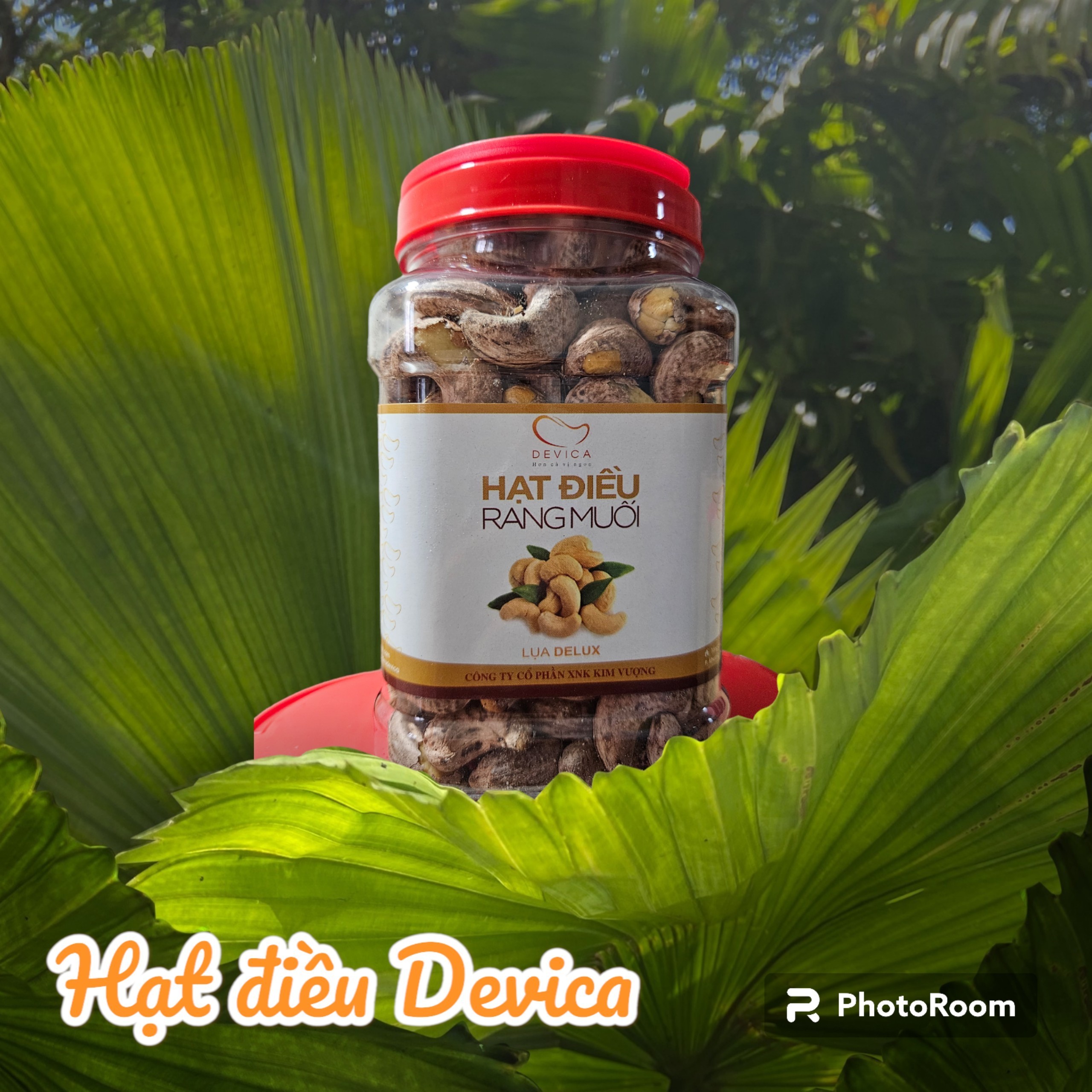 Roasted salted Cashew Nuts shelled and roasted salty cashew kernels A180 A240 best quality