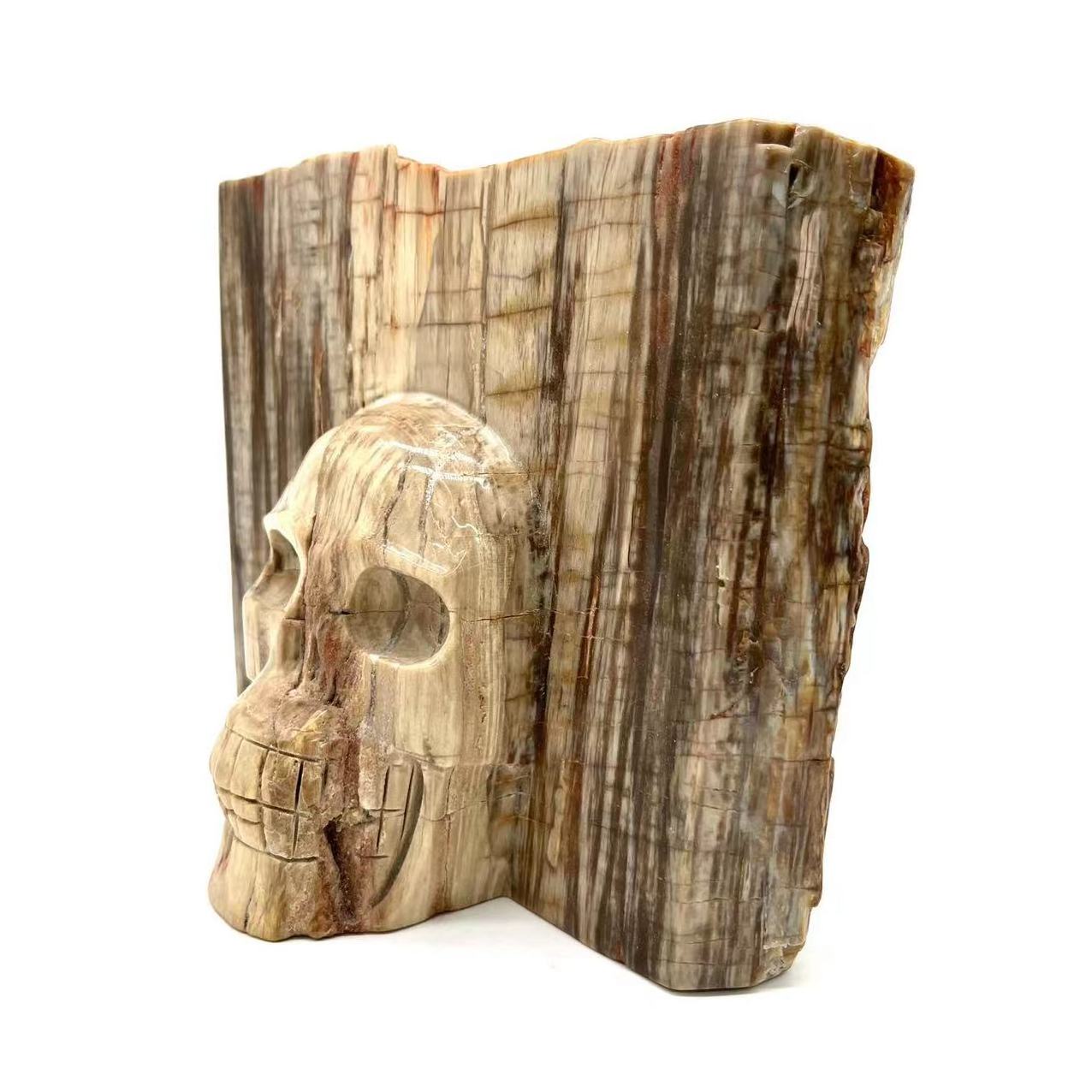 Hot selling natural gemstone polished crystal petrified wood stump shaped skull carving