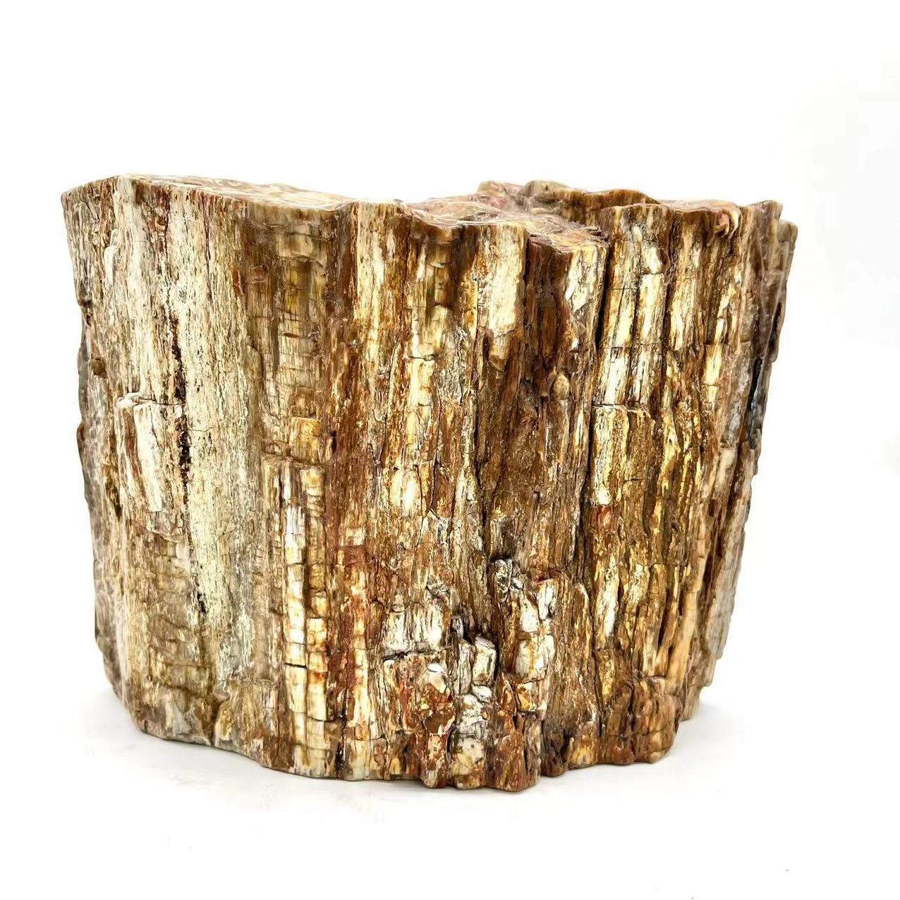 Hot selling natural gemstone polished crystal petrified wood stump shaped skull carving