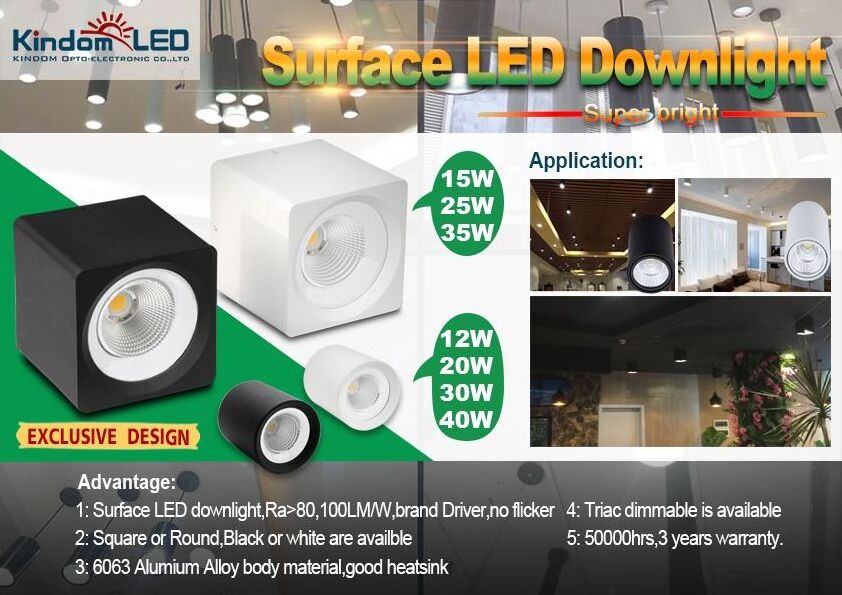 AC175-265V 20W COB IP44 surface mount led downlight