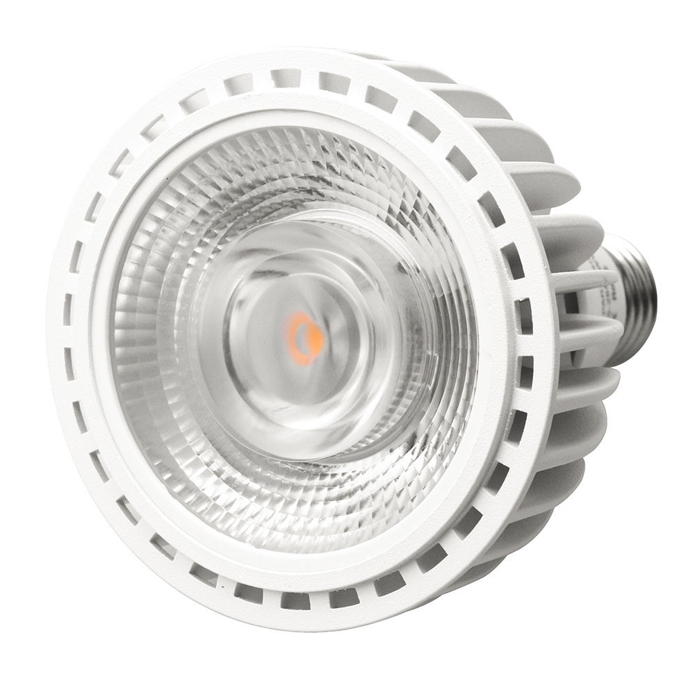 Master LED PAR30 40W 15D/24D/36D 2700K/3000K/4000K/6000K LED BULB E27 PAR30