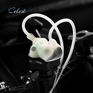 Celest DIY Custom Logo Printed Hifi Wired Headphones Funny Backhead Unique Song Earphones with 3.5mm Interface