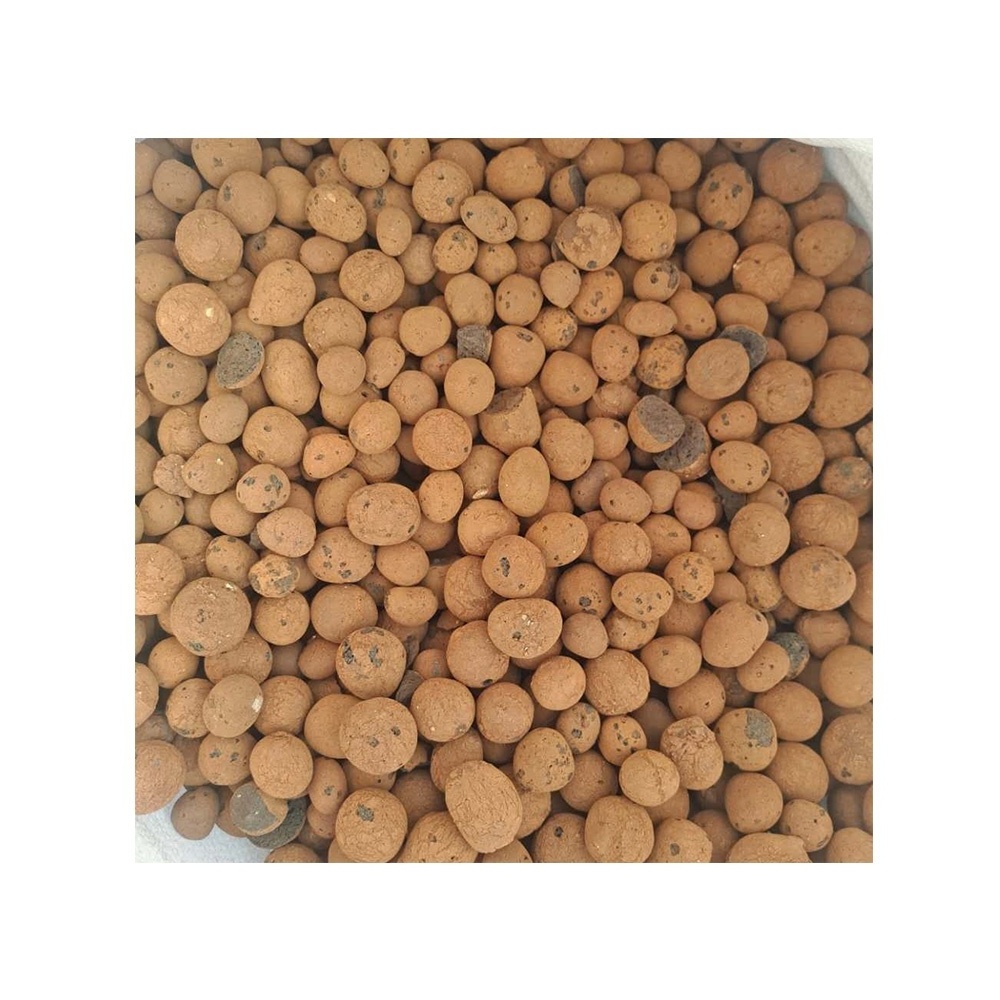 Color Solid Ceramsite Color Expanded Clay Pebbles Pellets Grow Media Orchids Succulent Plant Hydroponics Bonsai Decor Of Orchid