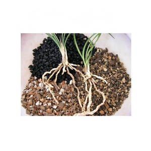 Manufacture Soilless Culture Substrates Orchid Floriculture Ferment Pine Bark