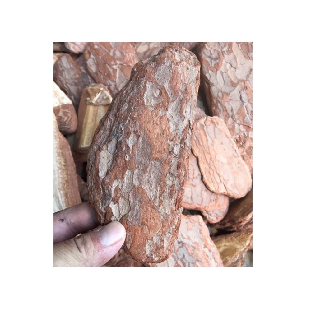 100% Natural Pine Bark Good Quality Hot Selling Organic Customized Size Pine Bark For Garden Ornaments