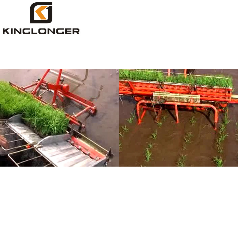 4 row hand planting machine for rice