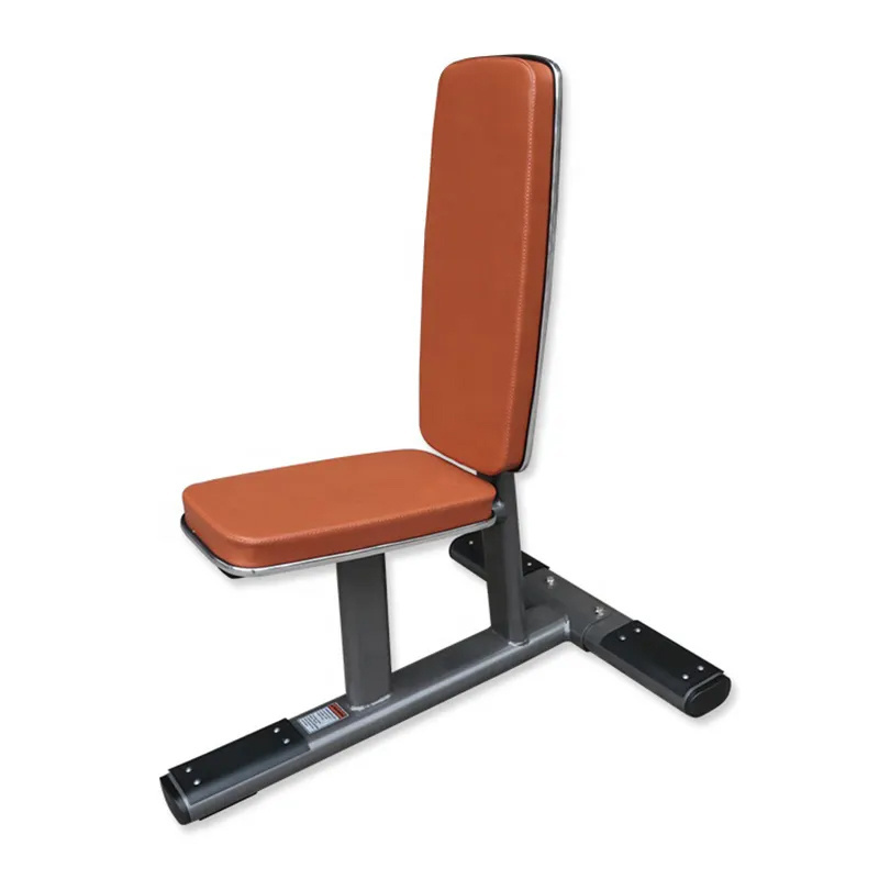 Commercial Indoor Gym Fitness Equipment Exercise Bench Body Building Strength Machine Vertical Bench