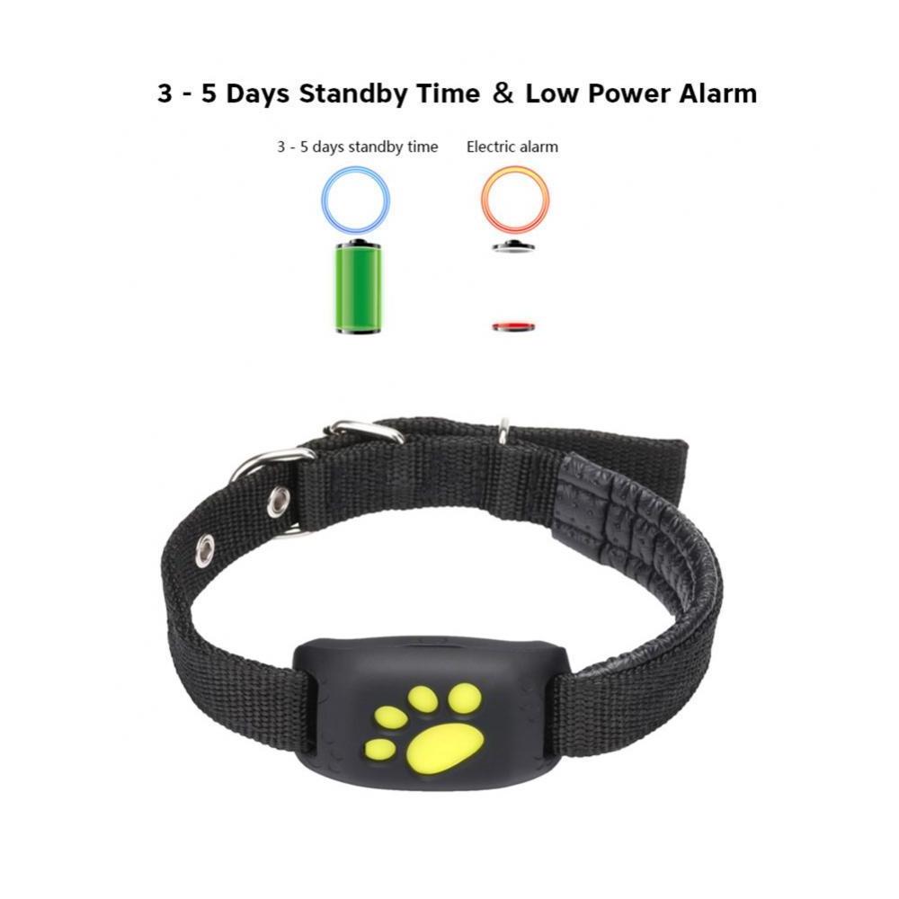 Hot Selling GPS Dog Collar Mini Chip Tracking Device For Small Animals Cat Pets Waterproof Wireless Tracker