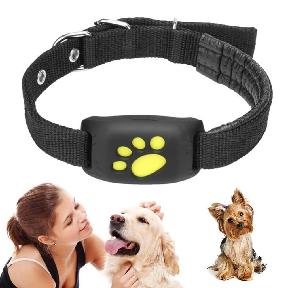 Hot Selling GPS Dog Collar Mini Chip Tracking Device For Small Animals Cat Pets Waterproof Wireless Tracker