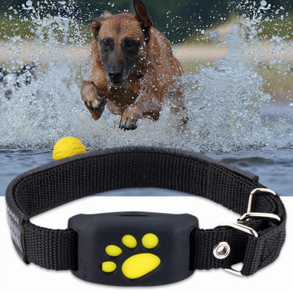 Hot Selling GPS Dog Collar Mini Chip Tracking Device For Small Animals Cat Pets Waterproof Wireless Tracker