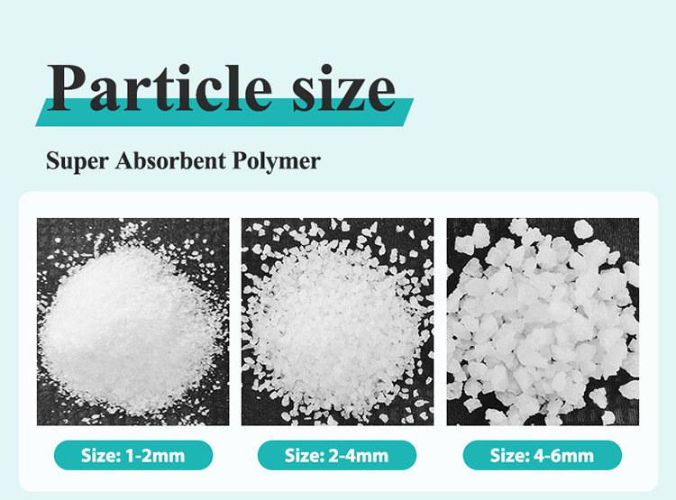 Biodegradable Hydrogel Powder de Potassium Polyacrylate Super Absorbent Polymer retainer water gel for plant in drought