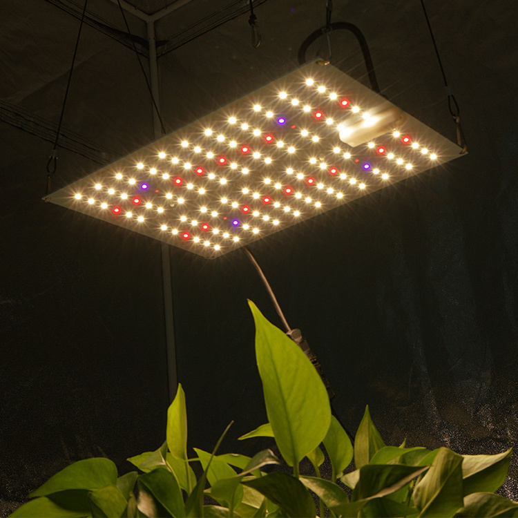 Kingbrite led KB132 grow light 65W LM301H top bin with epistar 660nm UV IR