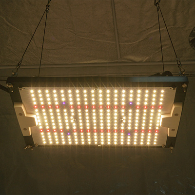 Kingbrite led 120w Samsung LM301H mix Epistar UV IR Red 660nm for Veg and bloom led grow light