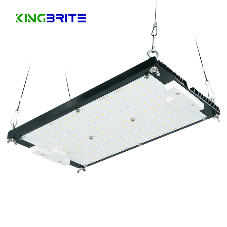 2023 V4 KingBrite 120w board Samsung Lm301h ir uv top bin with red 660nm led grow light