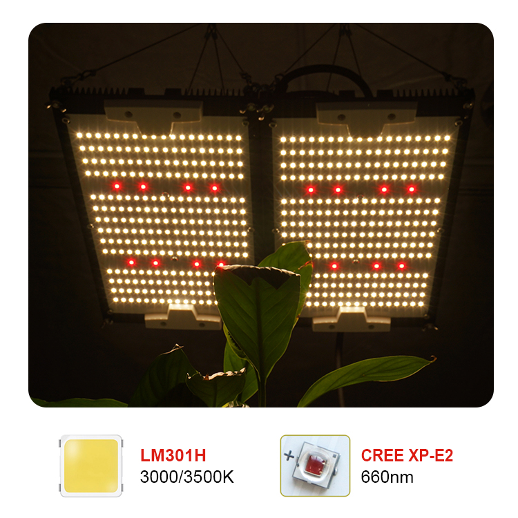 Kingbrite 240w led grow light  lm301h mix deep red XP-E2 660 chips grow light kits with double heatsink