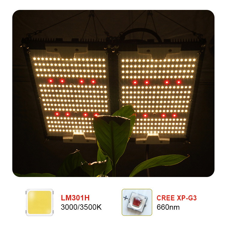 KingBrite 240W Samsung LM301H Mix XP-E2/XP-G3 660nm Red Board Double Heatsink LED Grow Light For Indoor Plants Cover 2*2ft Tent