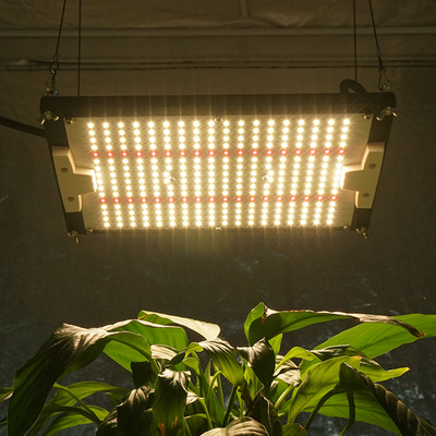 2023 Waterproof KingBrite Led 120w Samsung lm301H with 660nm MW XLG Driver Led Grow Light