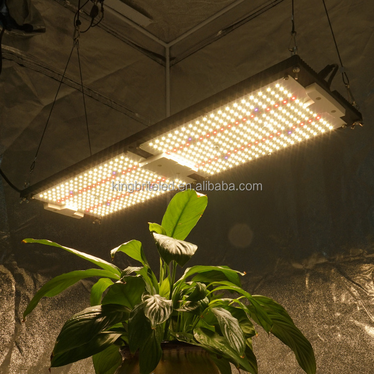 KingBrite IP65 Waterproof 240W Samsung LM301H Board+Epistar 660nm UV IR Led Grow Light