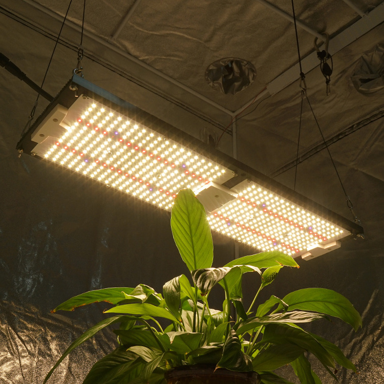 KingBrite IP65 Waterproof 240W Samsung LM301H Board+Epistar 660nm UV IR Led Grow Light