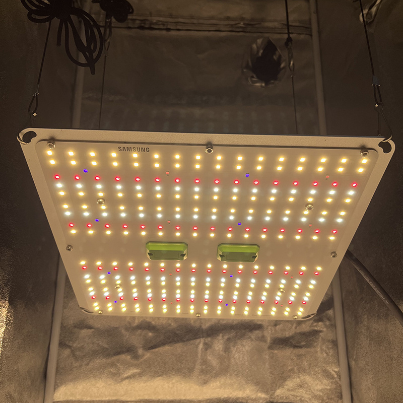 Separate Control UV IR, KingBrite 100W Samsung LM301H EVO+Epistar 660nm UV IR LED Board Grow Light Meanwell Driver