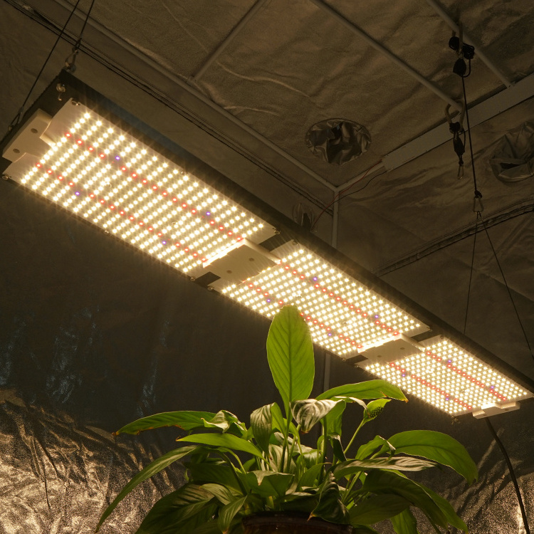 2024 Kingbrite 320W Samsung LM301H mix Epistar 660nm UV IR full spectrum Led Plant Grow Lights with Meanwell driver