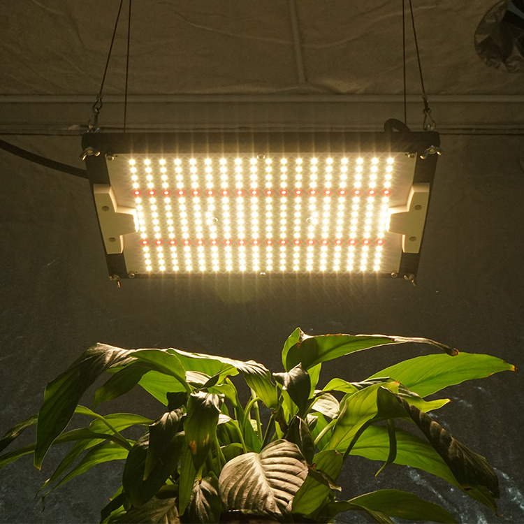 2023 Waterproof KingBrite Led 120w Samsung lm301H with 660nm MW XLG Driver Led Grow Light