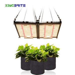 Kingbrite 240w samsung LM301H Board mix epistar deep red 660nm UV IR SF2000 LED Grow Light