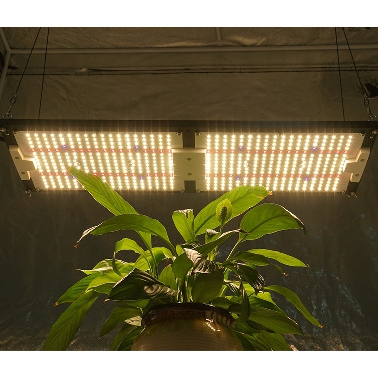 High PPFD kingbrite 240w samsung LM301H mix Epistar deep red 660nm UV IR full spectrum led grow light