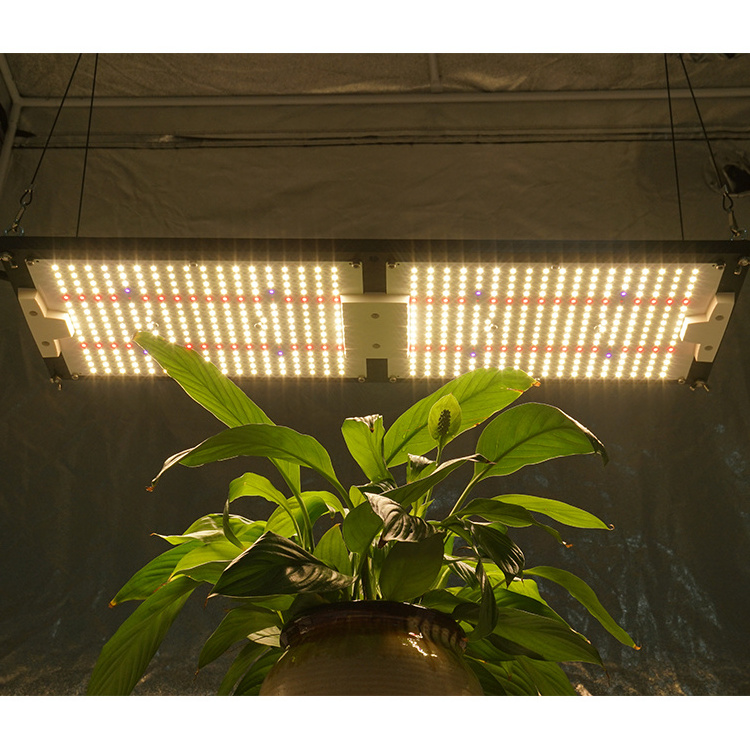 Free TAX to EU, Pre-assembled UV+IR+epistar 660nm red+LM301H 240W kingbrite 288 boards led grow light