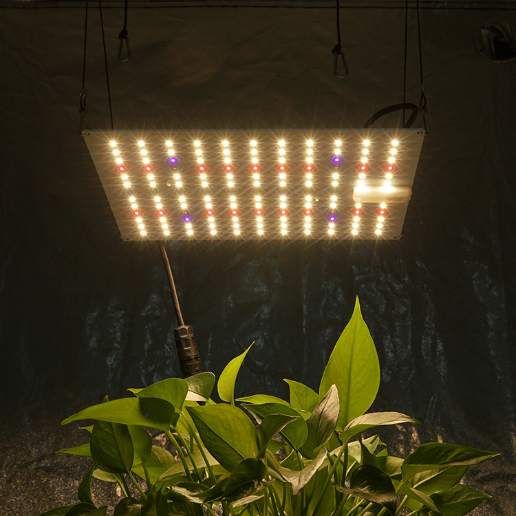 KingBrite LED 65W Seeding Grow Light Samsung LM301H with 660nm UV IR panel Board for indoor plants