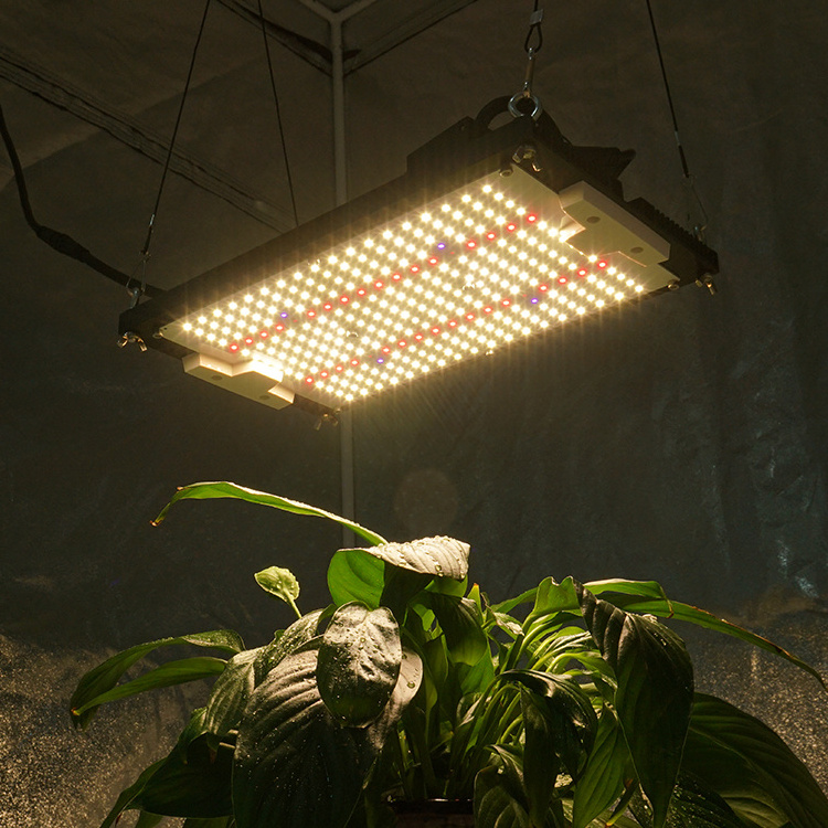 Kingbrite led 120w Samsung LM301H mix Epistar UV IR Red 660nm for Veg and bloom led grow light