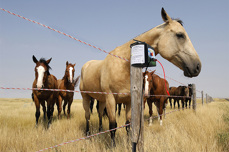 solar power energizer /Electric Fence Energizer Can Use Solar Powered Cattle, Horse, Sheep, Pig And Bear Electric Fence