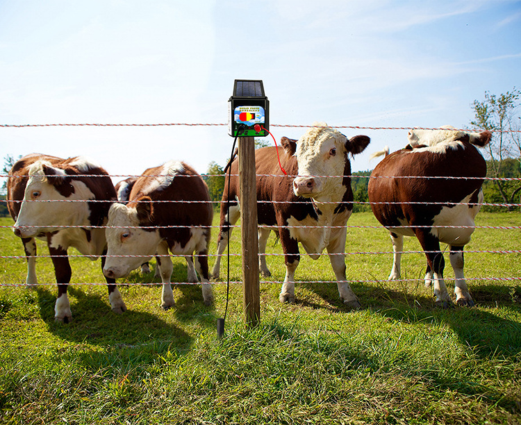 solar power energizer /Electric Fence Energizer Can Use Solar Powered Cattle, Horse, Sheep, Pig And Bear Electric Fence