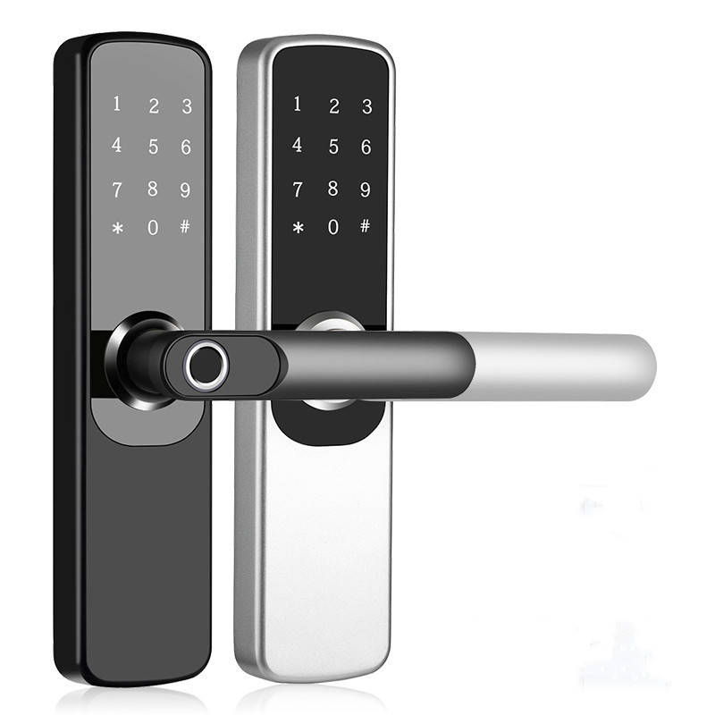 Tuya Smart Biometric Lock Fingerprint Door Lock Padlock