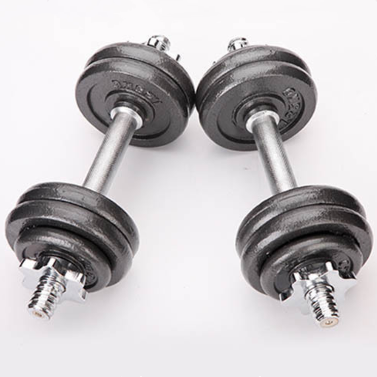 High Elasticity Gym Dumbbells Set 20kg 50kg Round Stoving Varnish Coated Dumbbell