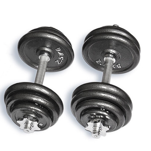 High Elasticity Gym Dumbbells Set 20kg 50kg Round Stoving Varnish Coated Dumbbell