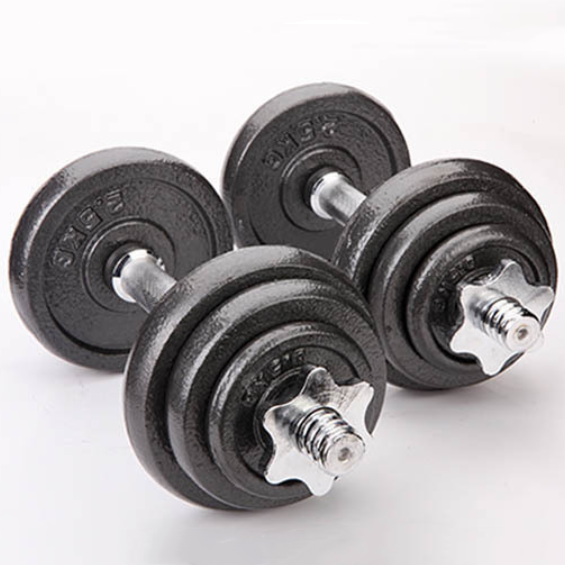 High Elasticity Gym Dumbbells Set 20kg 50kg Round Stoving Varnish Coated Dumbbell