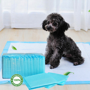 All Day Super Absorbent disposable Pet Diaper Dog Training Pee Pads Healthy Clean Wet Mat For Dog Cats