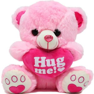 Valentine Teddy Bear Stuffed Animal Pink Plush Bear with Hug Me Pink Heart Pillow Valentines Day Gift for Kids