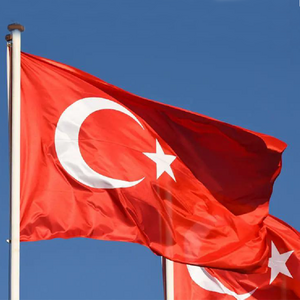 Wholesale Turkey Flag 90x150cm 3x5ft 100% Polyester Turkiye Flag National Country Flag