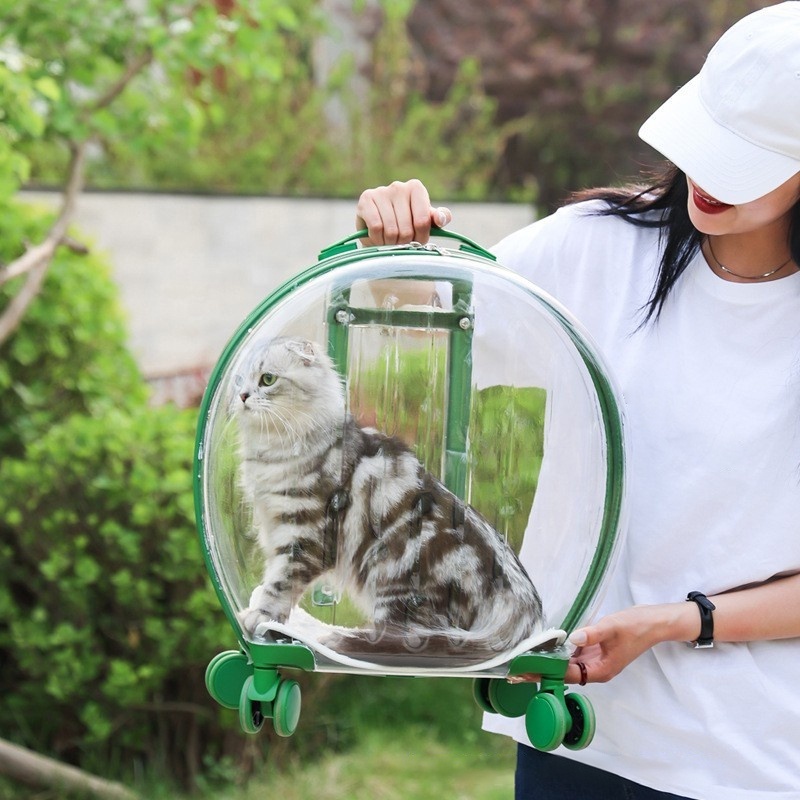 Outdoor Portable Transparent Space Capsule Bag Breathable Backpack Cat Bag Dog Pet Carriers