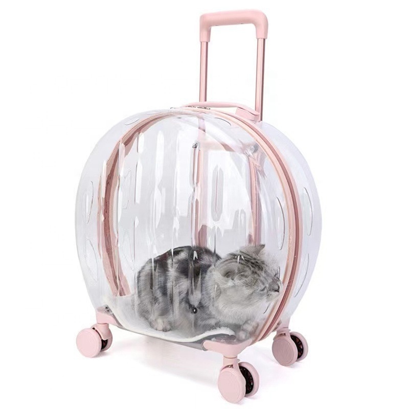 Outdoor Portable Transparent Space Capsule Bag Breathable Backpack Cat Bag Dog Pet Carriers