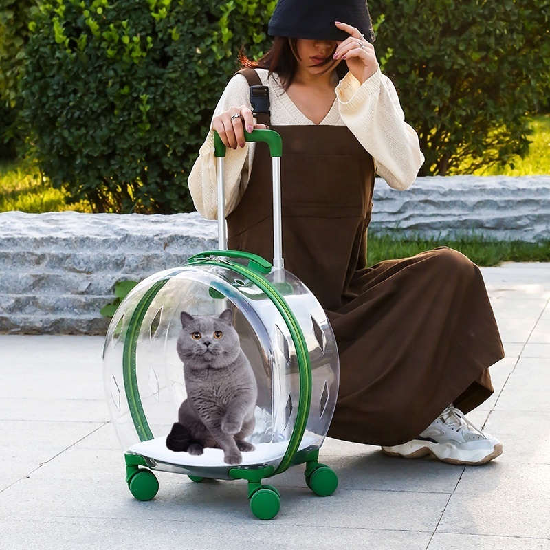 Outdoor Portable Transparent Space Capsule Bag Breathable Backpack Cat Bag Dog Pet Carriers